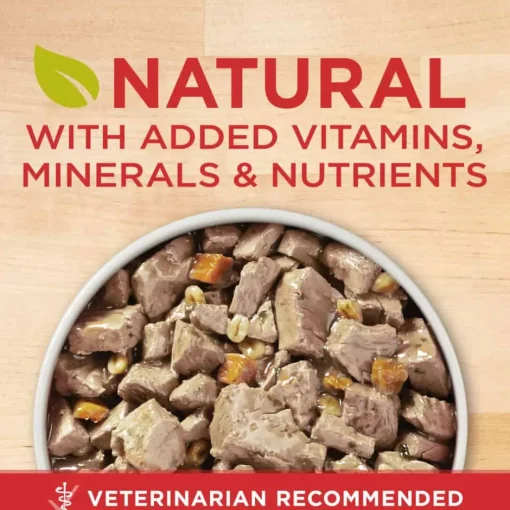 Discount Purina ONE SmartBlend Tender Cuts in Gravy Adult Canned Dog Food