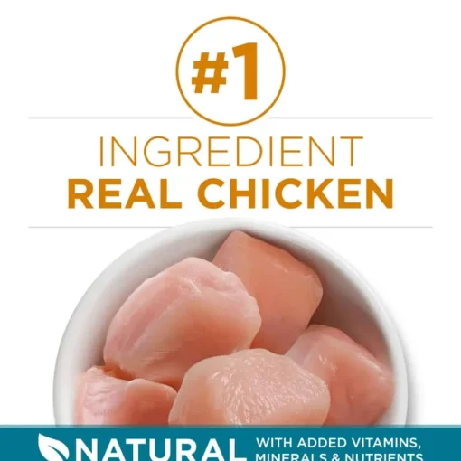 Online Purina ONE Tender Selects Blend Real Chicken Dry Cat Food