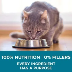 Online Purina ONE Tender Selects Blend Real Chicken Dry Cat Food