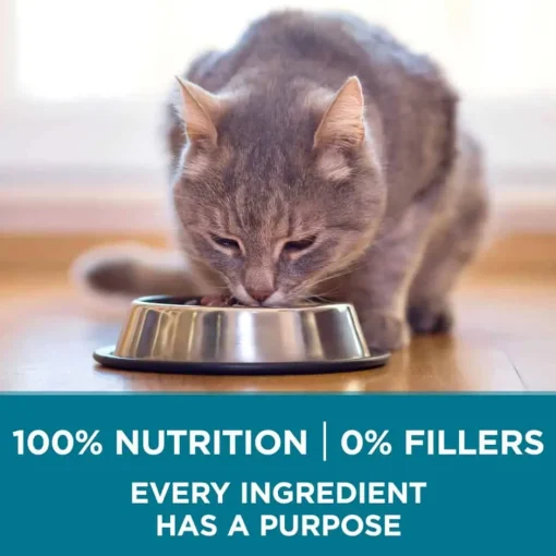 Online Purina ONE Tender Selects Blend Real Chicken Dry Cat Food