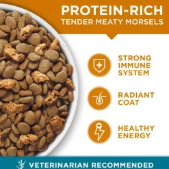 Online Purina ONE Tender Selects Blend Real Chicken Dry Cat Food