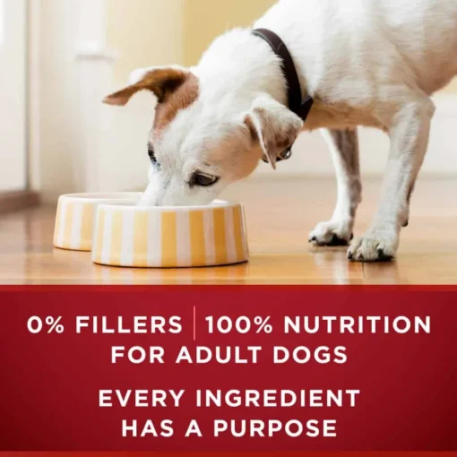 Fashion Purina ONE True Instinct Classic Ground Grain Free Wet Dog Food