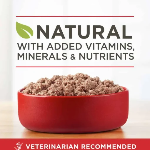 Fashion Purina ONE True Instinct Classic Ground Grain Free Wet Dog Food