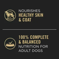 Clearance Purina Pro Plan Adult Complete Essentials Chicken & Rice Entree Classic Wet Dog Food