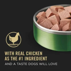 Fashion Purina Pro Plan Adult Small Breed Chicken Entree Pate Wet Dog Food