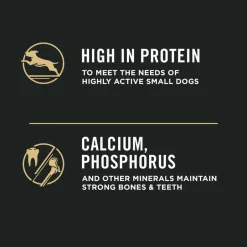Outlet Purina Pro Plan Adult Small Breed Shredded Blend Beef & Rice Formula Dry Dog Food