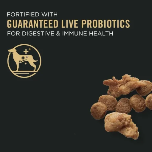 Outlet Purina Pro Plan Adult Small Breed Shredded Blend Beef & Rice Formula Dry Dog Food