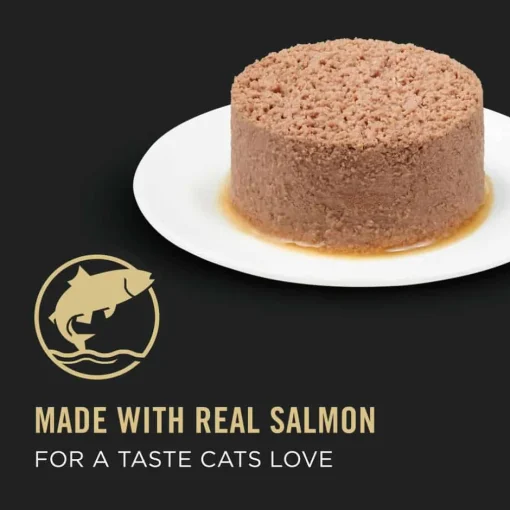 Fashion Purina Pro Plan Adult Urinary Tract Health Salmon Entree Classic Wet Cat Food