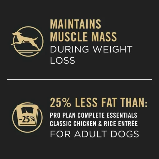 Online Purina Pro Plan Adult Weight Management Turkey & Rice Entree Morsels in Gravy Wet Dog Food