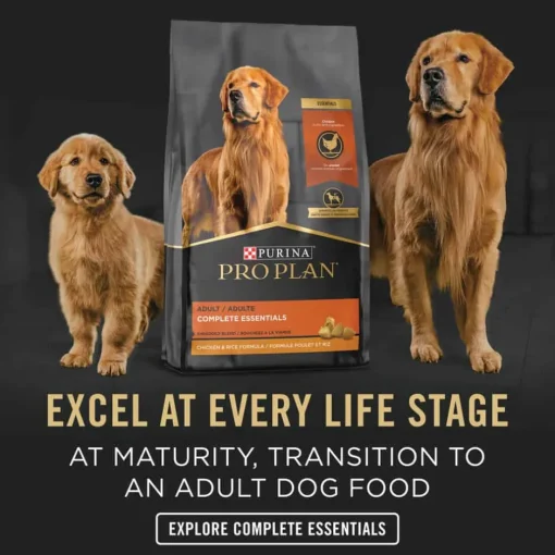 Online Purina Pro Plan Puppy Chicken & Rice Entree Wet Dog Food