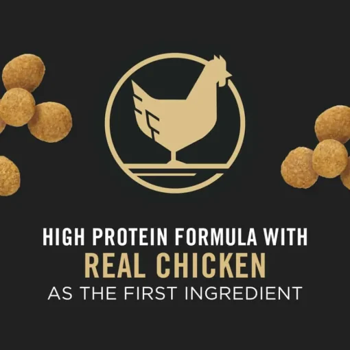 Outlet Purina Pro Plan Puppy Large Breed Chicken & Rice Formula Dry Dog Food