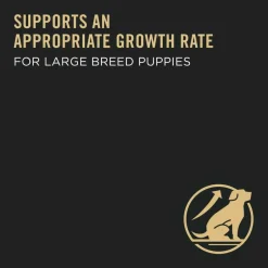 Outlet Purina Pro Plan Puppy Large Breed Chicken & Rice Formula Dry Dog Food