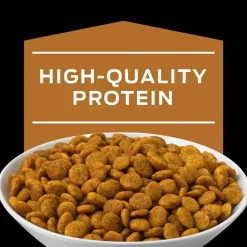 Clearance Purina Pro Plan Veterinary Diets NF Kidney Function Early Care Feline Formula Adult Dry Cat Food