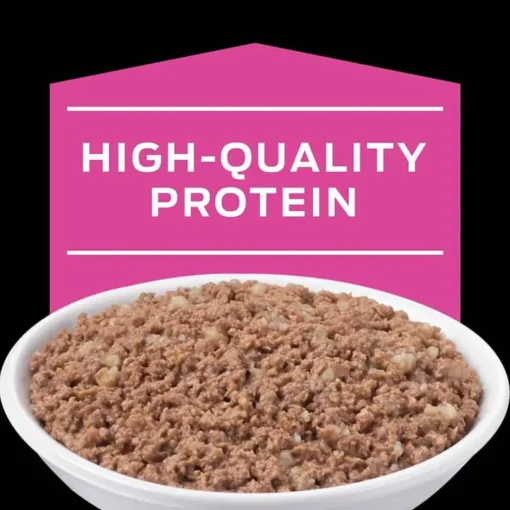 Fashion Purina Pro Plan Veterinary Diets UR Urinary St/Ox Feline Formula Wet Cat Food