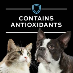 Sale Purina Pro Plan Veterinary Diets CN Critical Nutrition Canine & Feline Formula Wet Dog & Cat Food