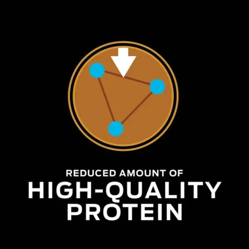 Online Purina Pro Plan Veterinary Diets NF Kidney Function Advanced Care Feline Formula Adult Wet Cat Food