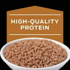 Online Purina Pro Plan Veterinary Diets NF Kidney Function Advanced Care Feline Formula Adult Wet Cat Food