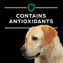 Sale Purina Pro Plan Veterinary Diets EN Gastroenteric Canine Formula Wet Dog Food