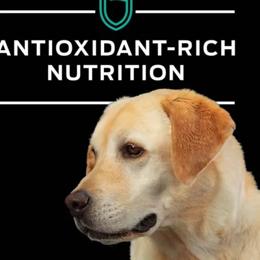 New Purina Pro Plan Veterinary Diets EN Gastroenteric Naturals Canine Formula Wet Dog Food