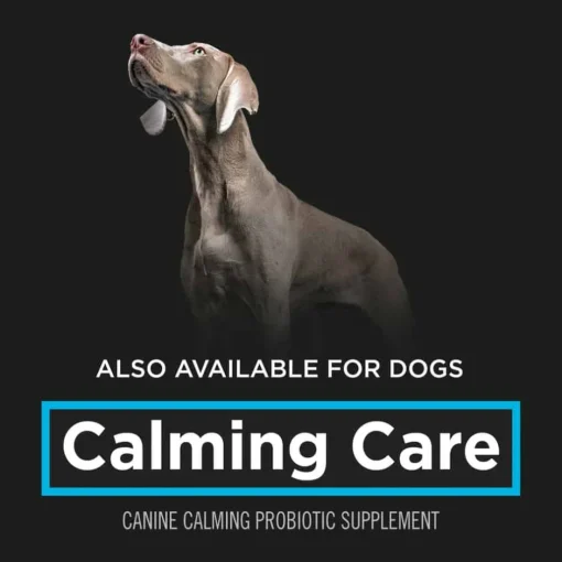Clearance Purina Pro Plan Veterinary Diets Purina Pro Plan Veterinary Supplements Calming Care Cat Supplement
