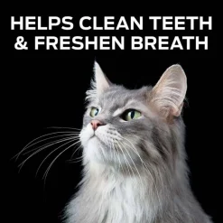 Fashion Purina Pro Plan Veterinary Diets Crunchy Bites Cat Treats