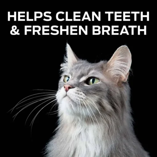 Fashion Purina Pro Plan Veterinary Diets Crunchy Bites Cat Treats