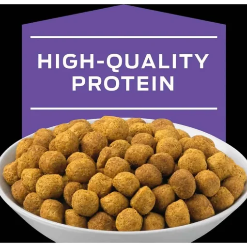 Online Purina Pro Plan Veterinary Diets DH Dental Health Feline Formula Dry Cat Food