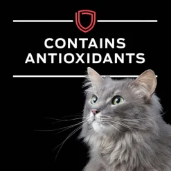 Outlet Purina Pro Plan Veterinary Diets DM Dietetic Management Feline Formula Wet Cat Food
