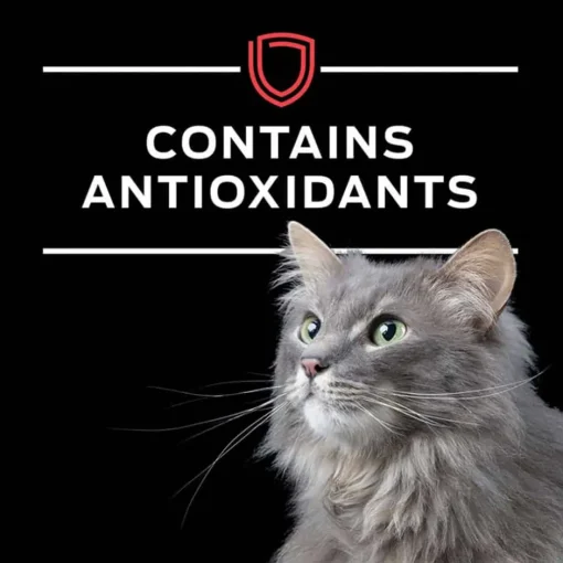 Outlet Purina Pro Plan Veterinary Diets DM Dietetic Management Feline Formula Wet Cat Food