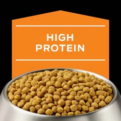 Hot Purina Pro Plan Veterinary Diets OM Overweight Management Canine Formula Dry Dog Food
