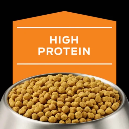 Hot Purina Pro Plan Veterinary Diets OM Overweight Management Canine Formula Dry Dog Food