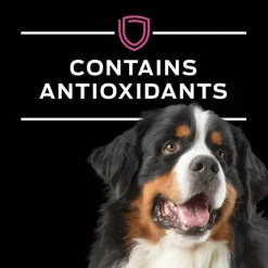 New Purina Pro Plan Veterinary Diets UR Urinary Ox/St Canine Formula Wet Dog Food
