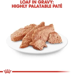 New Royal Canin Breed Health Nutrition Dachshund Adult Loaf in Sauce Wet Dog Food