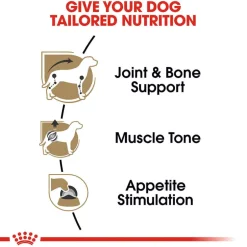 New Royal Canin Breed Health Nutrition Dachshund Adult Loaf in Sauce Wet Dog Food