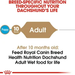 New Royal Canin Breed Health Nutrition Dachshund Adult Loaf in Sauce Wet Dog Food