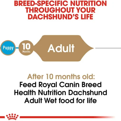 New Royal Canin Breed Health Nutrition Dachshund Adult Loaf in Sauce Wet Dog Food