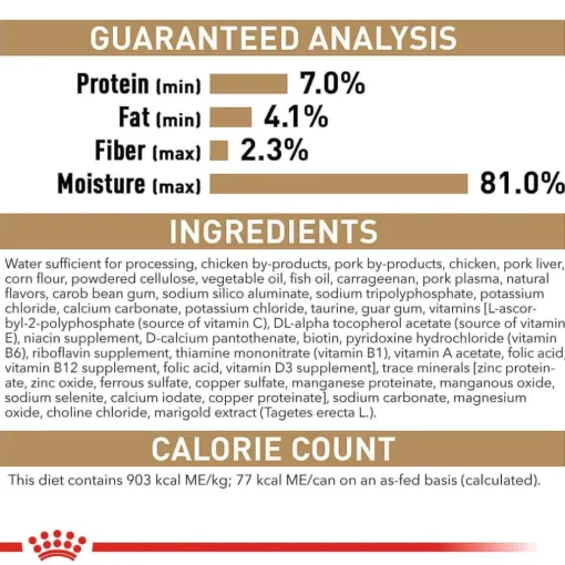 New Royal Canin Breed Health Nutrition Dachshund Adult Loaf in Sauce Wet Dog Food