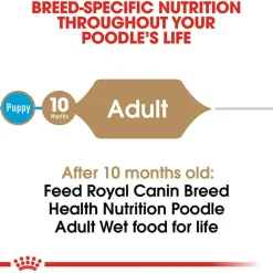 Sale Royal Canin Breed Health Nutrition Poodle Adult Loaf in Sauce Wet Dog Food
