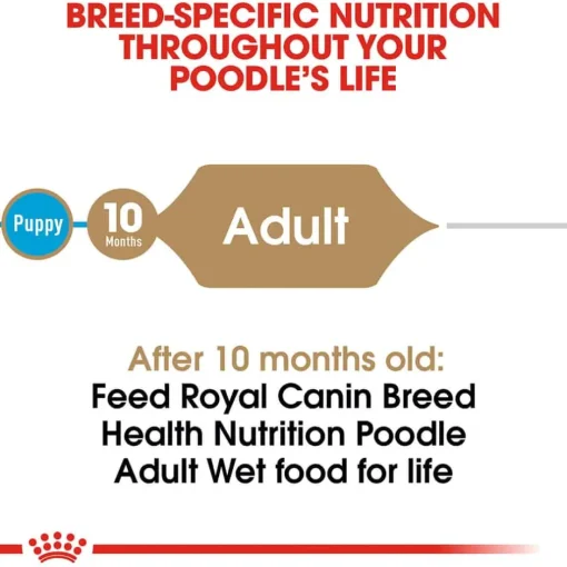 Sale Royal Canin Breed Health Nutrition Poodle Adult Loaf in Sauce Wet Dog Food