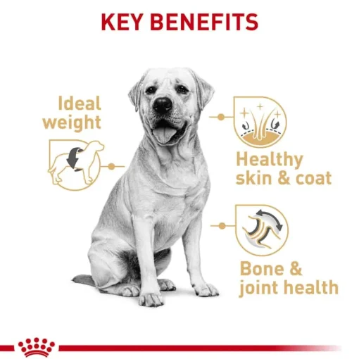 Online Royal Canin Breed Health Nutrition Labrador Retriever Adult Dry Dog Food