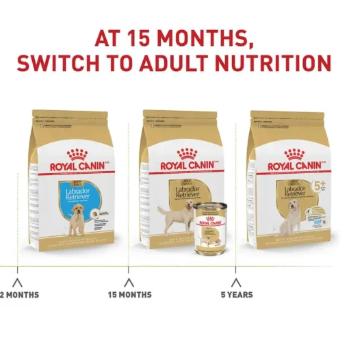 Online Royal Canin Breed Health Nutrition Labrador Retriever Adult Dry Dog Food