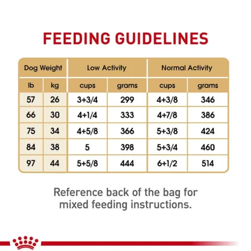 Online Royal Canin Breed Health Nutrition Labrador Retriever Adult Dry Dog Food