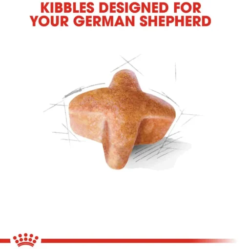 Online Royal Canin Breed Health Nutrition German Shepherd Adult Dry Dog Food