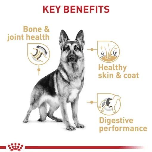 Online Royal Canin Breed Health Nutrition German Shepherd Adult Dry Dog Food