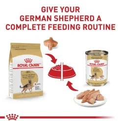 Online Royal Canin Breed Health Nutrition German Shepherd Adult Dry Dog Food