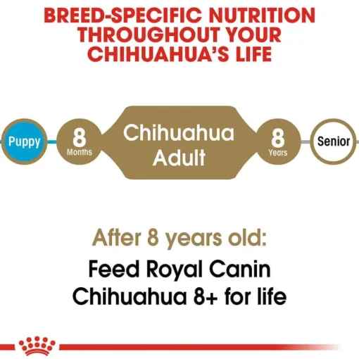 Online Royal Canin Breed Health Nutrition Chihuahua Adult Dry Dog Food