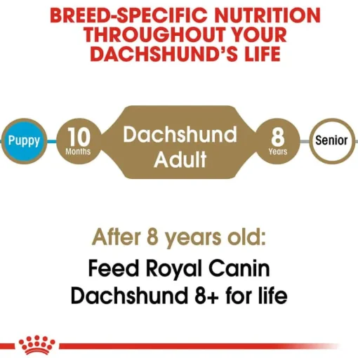 Outlet Royal Canin Breed Health Nutrition Dachshund Adult Dry Dog Food