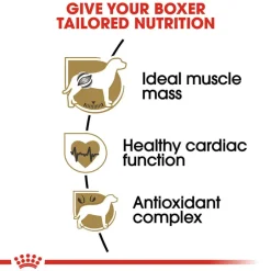 Best Royal Canin Breed Health Nutrition Boxer Adult Dry Dog Food