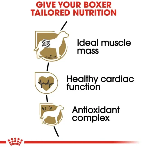 Best Royal Canin Breed Health Nutrition Boxer Adult Dry Dog Food