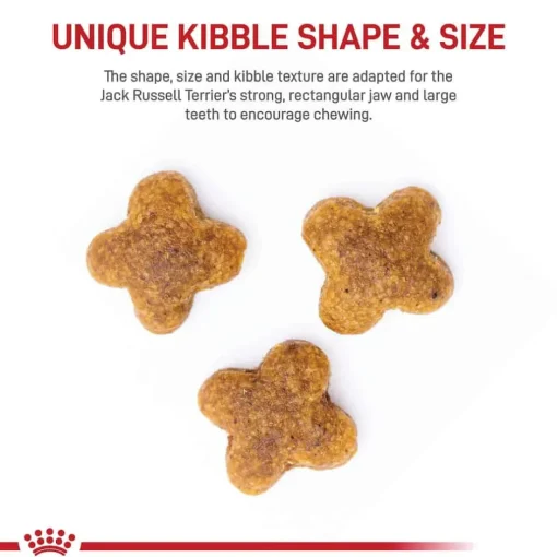 Online Royal Canin Breed Health Nutrition Jack Russell Terrier Adult Dry Dog Food